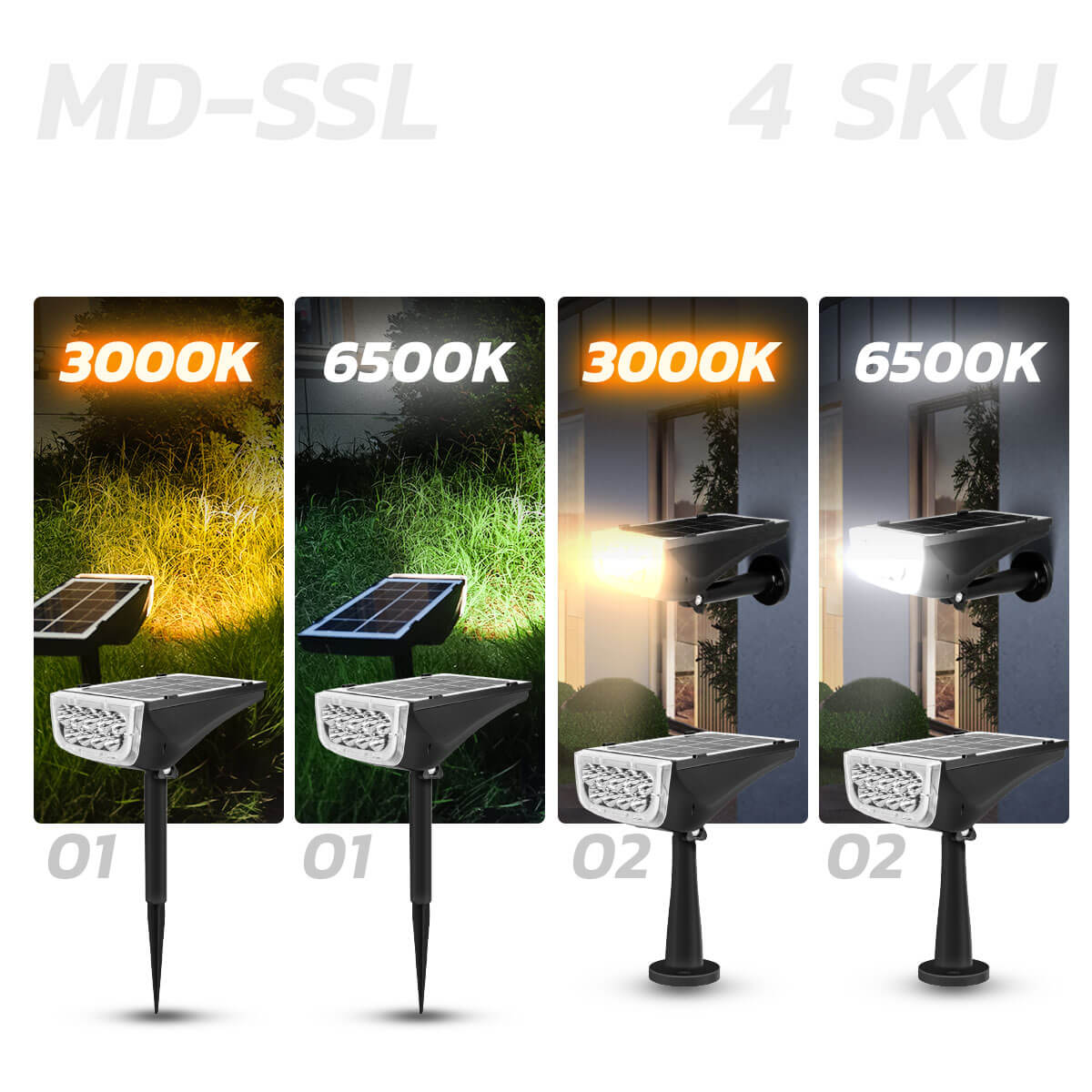 Picture of MD-SSL